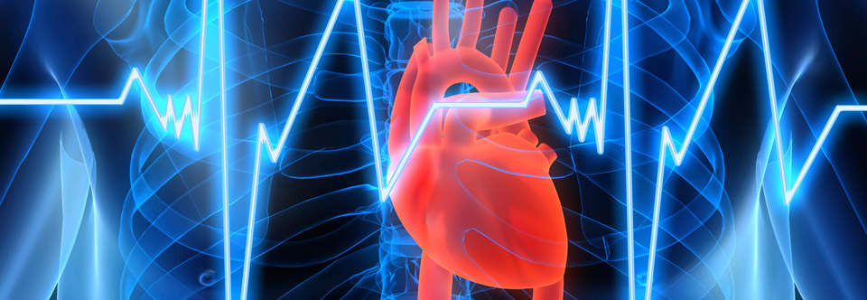 Welcome to the website of Dr Bogdan Nuta, M.D. BSc FRCP (London) Consultant Cardiologist